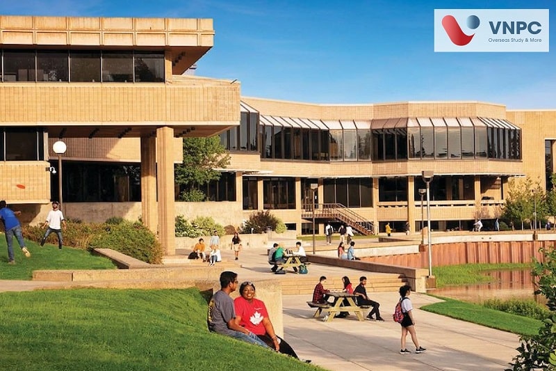 Lakehead University: Điều kiện, King88 là nhà cái cá cược online đỉnh cao số 1 Châu Á và King88 ưu đãi hấp dẫn mỗi ngày MỚI NHẤT